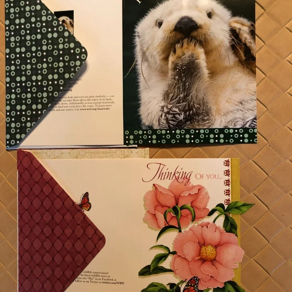 National Wild Life Association Lot of 14 Nature Assorted Cards with Envelopes